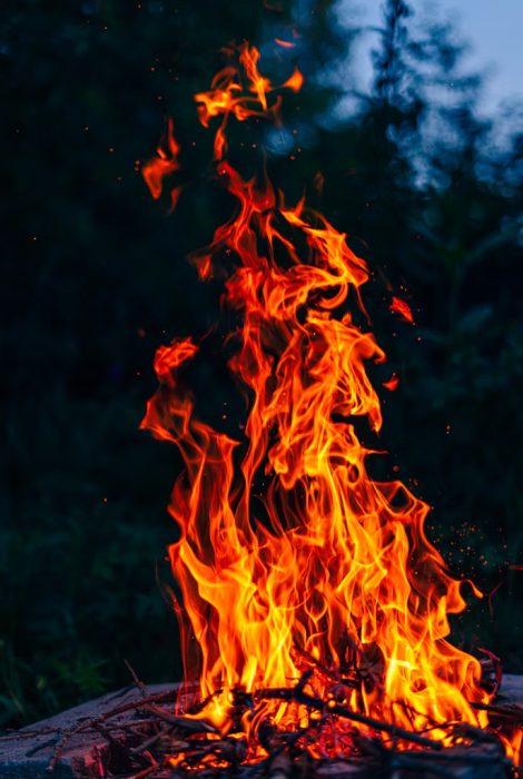 photo-1732199446346-046e400099f5